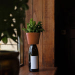 KKL Bottle Planter